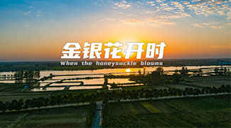 &#20061;&#24030;&#32593;&#39029;&#29256;&#45;&#20061;&#24030;&#40;&#20013;&#22269;&#41;&#95;&#20061;&#24030;&#40;&#20013;&#22269;&#41;